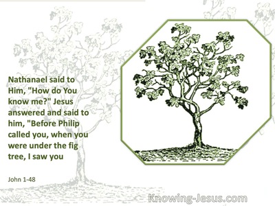 John 1:48 Before Philip Called You I Saw You (white)